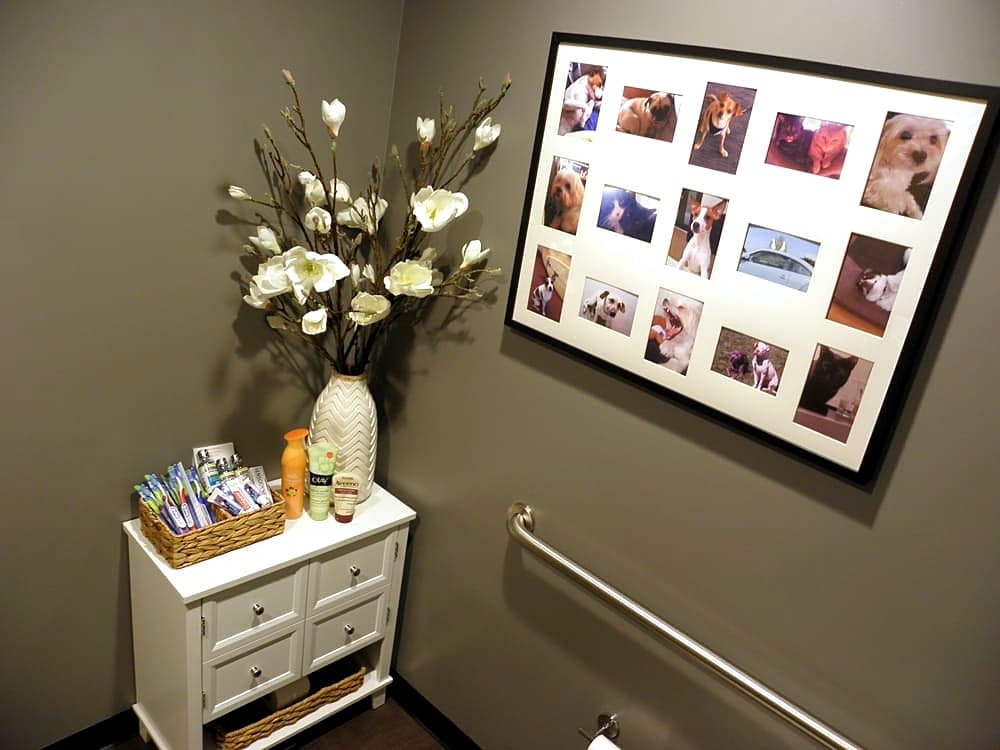 Inside Hillside Dentistry & Orthodontics — Torrance, CA